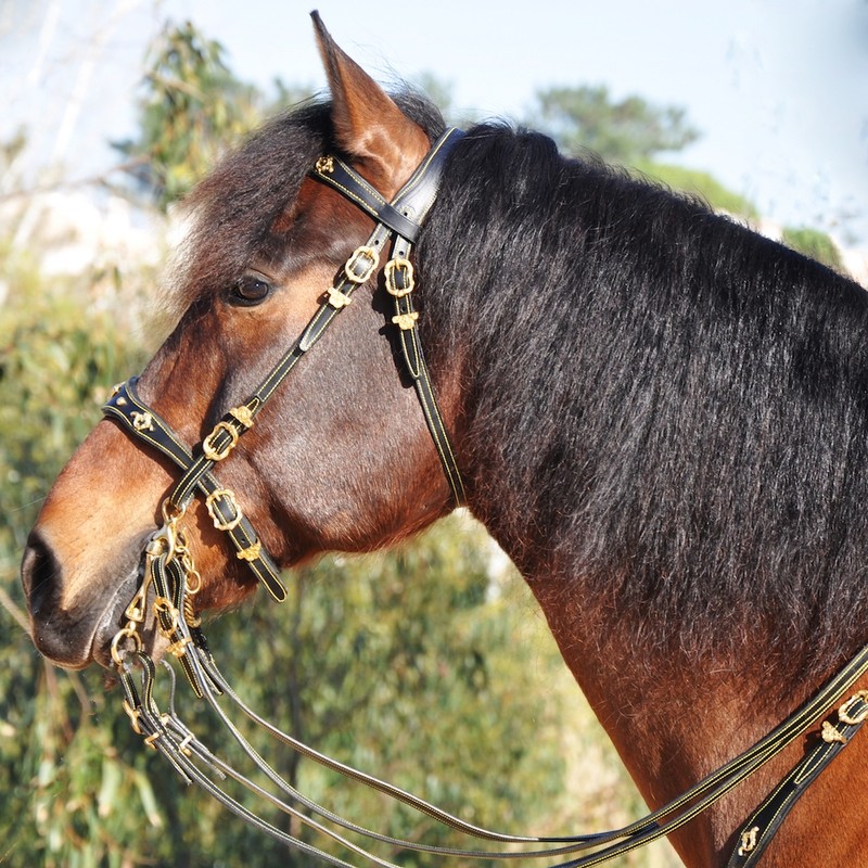 Portuguese Bridle