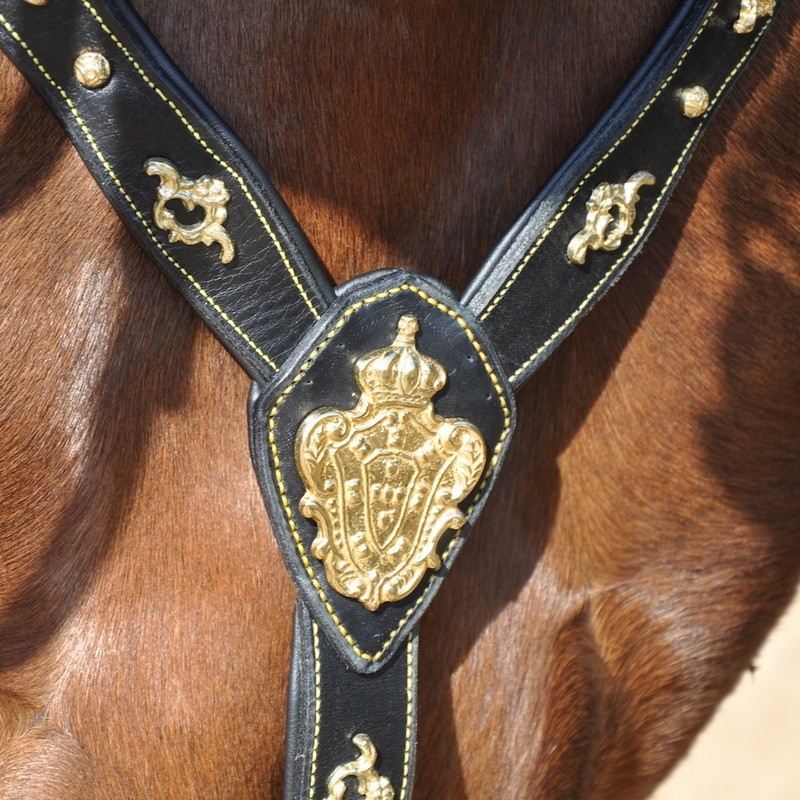 Classic Baroque Breast Plate