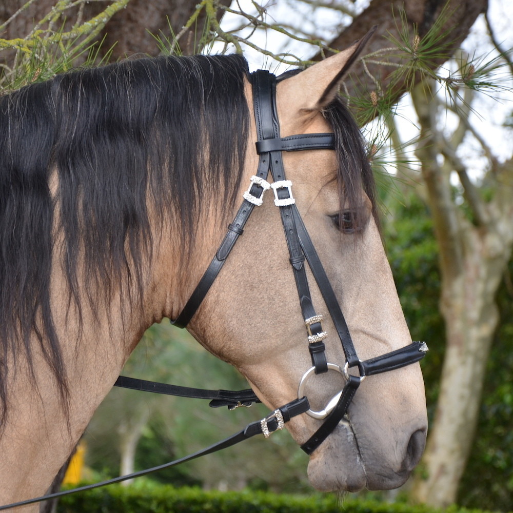 Jasmim Bridle
