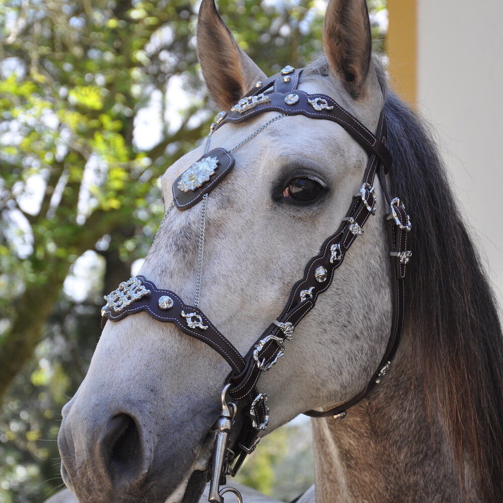 Baroque Show Bridle