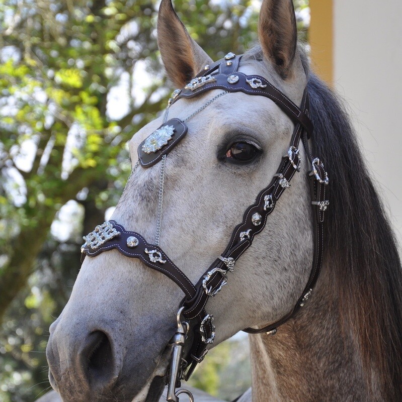Baroque Show Bridle