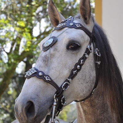 Baroque Show Bridle