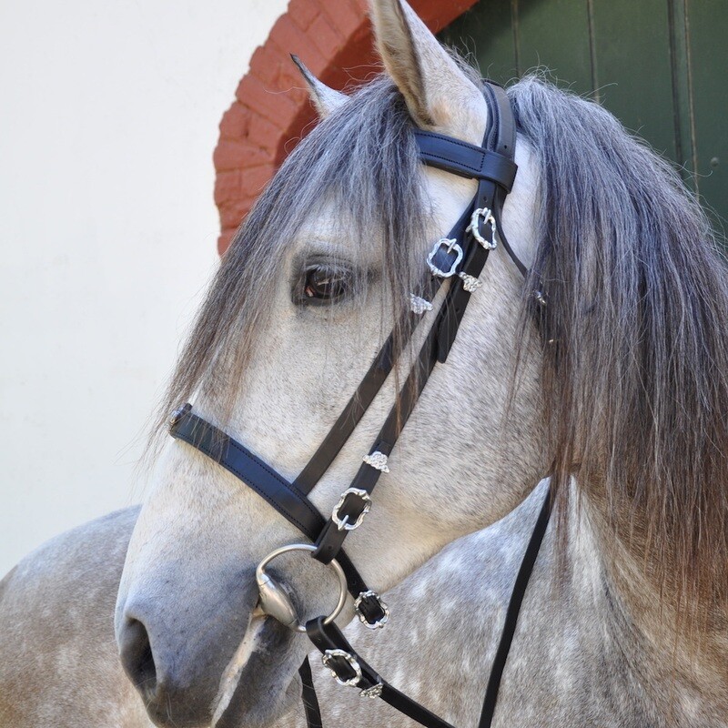 Portuguese Crown Bridle