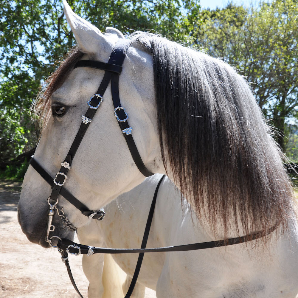 Portuguese Bridle