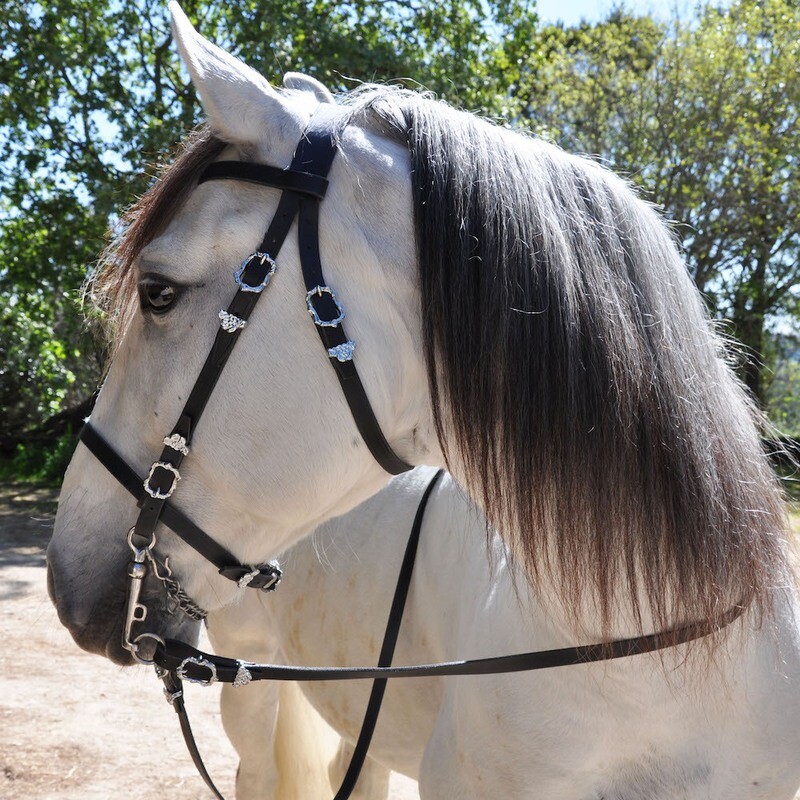 Portuguese Bridle