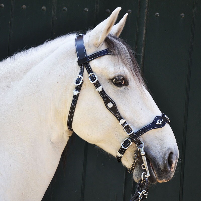 Portuguese Baroque Bridle