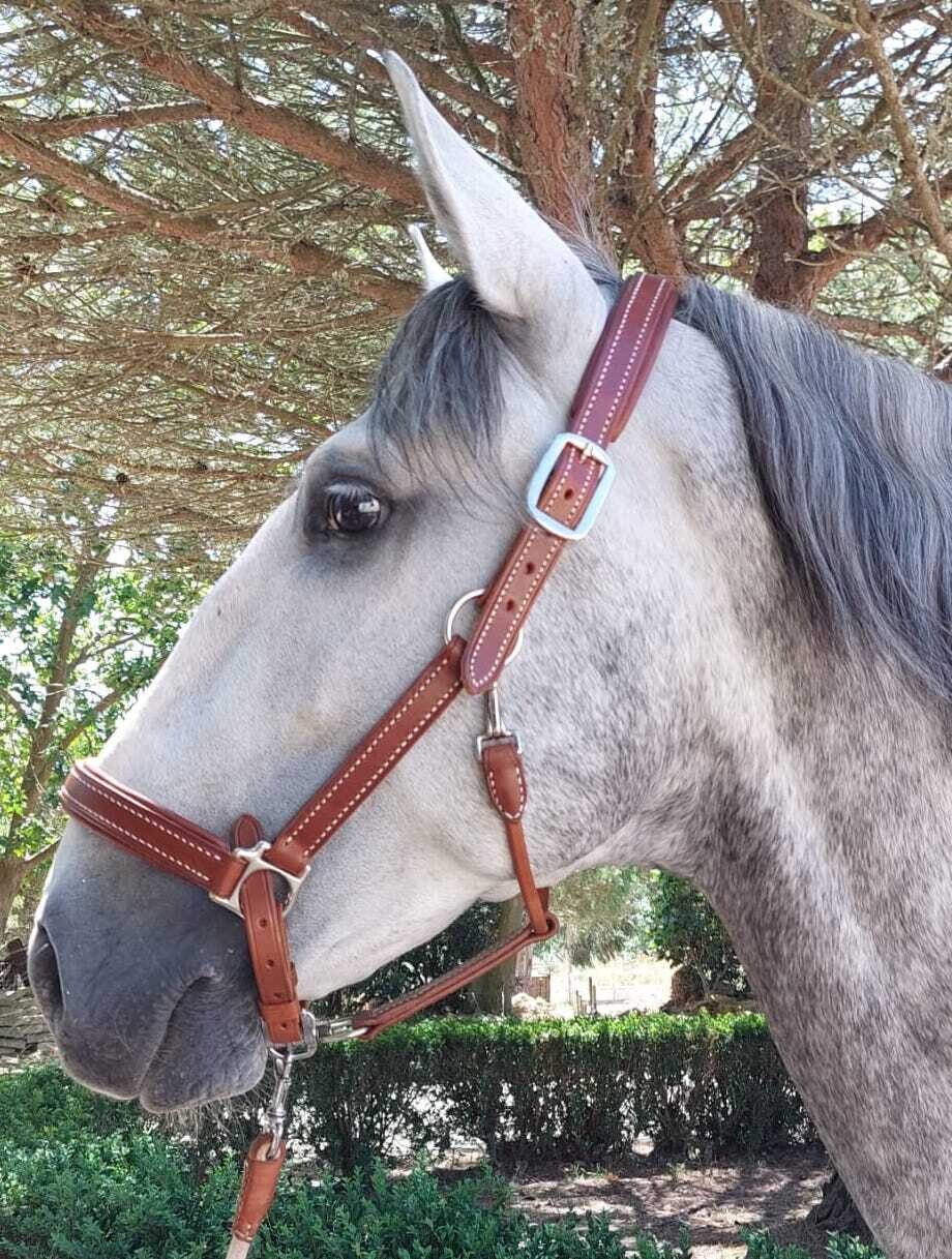 Hand Stitched Head Collar