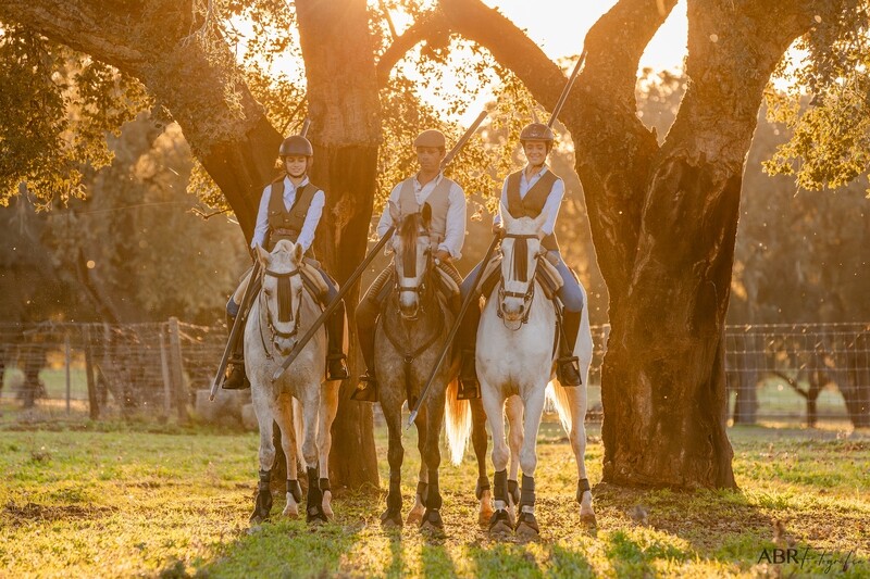 Equestrian Farm Holidays