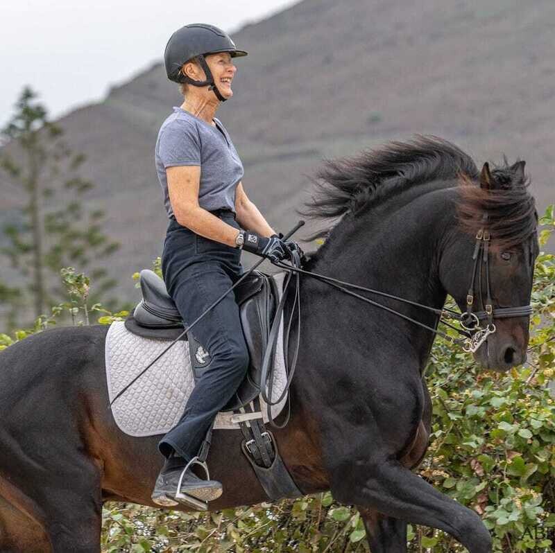 Classical Dressage Holidays