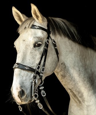 Zagal Baroque Bridle