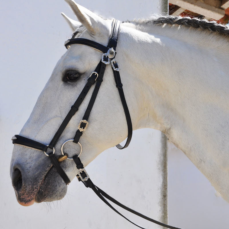 Neptuno Bridle