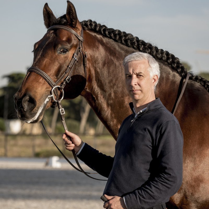 Live Online Dressage &amp; In Hand Coaching