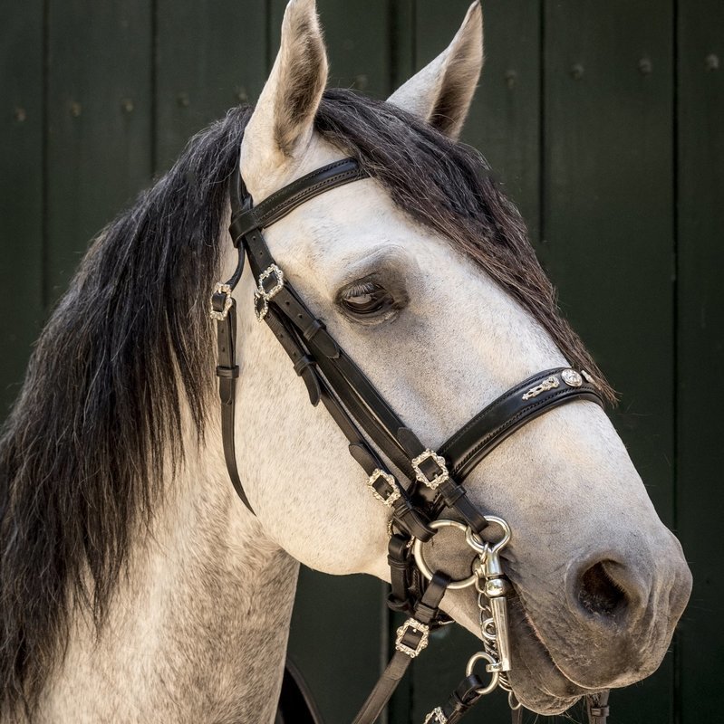 Fado Double Bridle