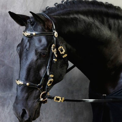 Euclides Bridle