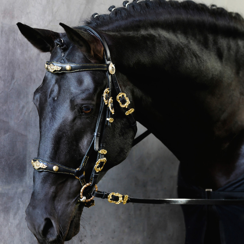 Euclides Bridle