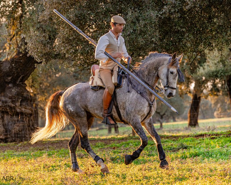 Heritage Farm Holidays 5 days/6 Nights
