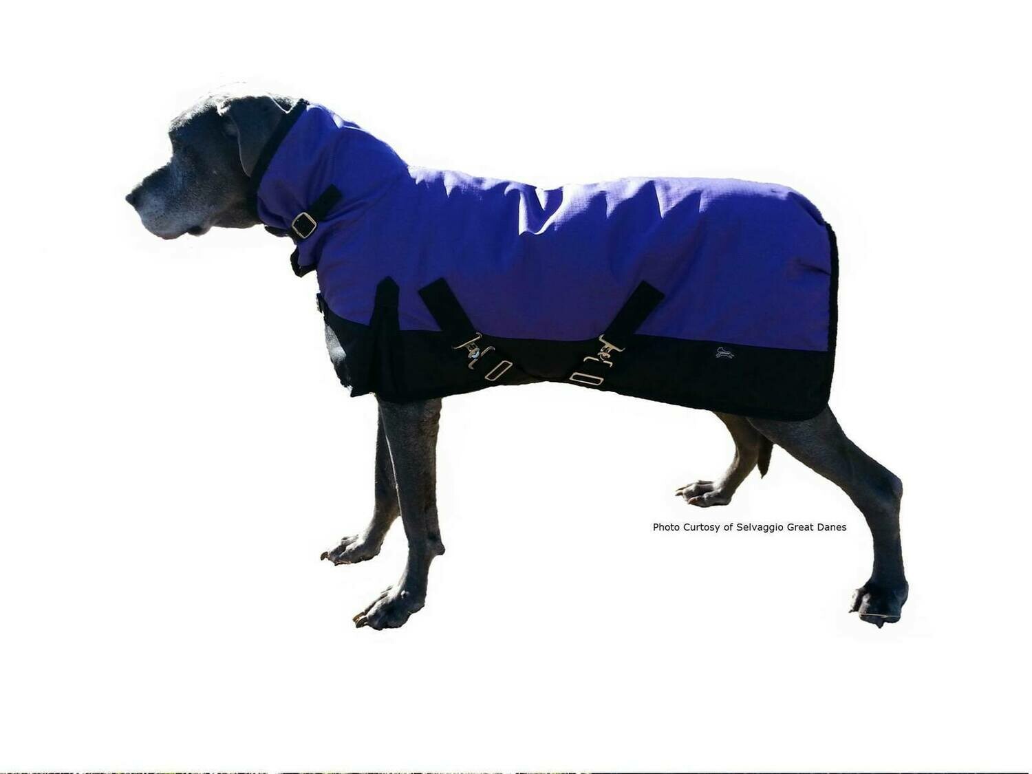 lilcracka cool coats