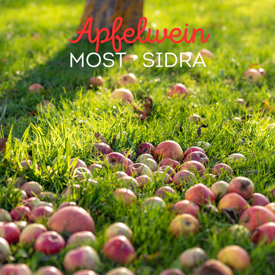 Apfelwein · Most · Sidra