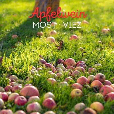 Apfelwein · Most · Viez