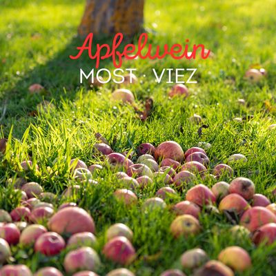Apfelwein · Most · Viez