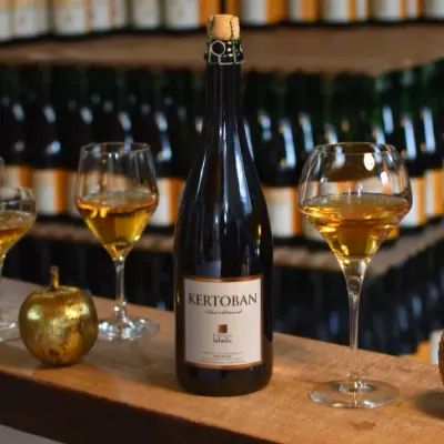 Cidre Séhédic Kertoban - Bio-Cidre
