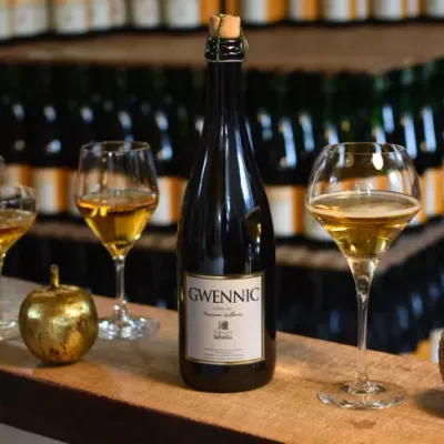 Cidre Séhédic Gwennic - Bio-Cidre - Magnum