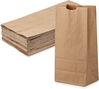 Large Kraft Bags