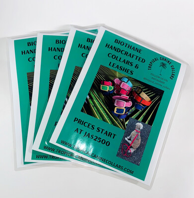 Laminating Print Included