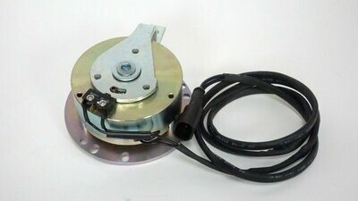 Brake Assembly With Micro Switch