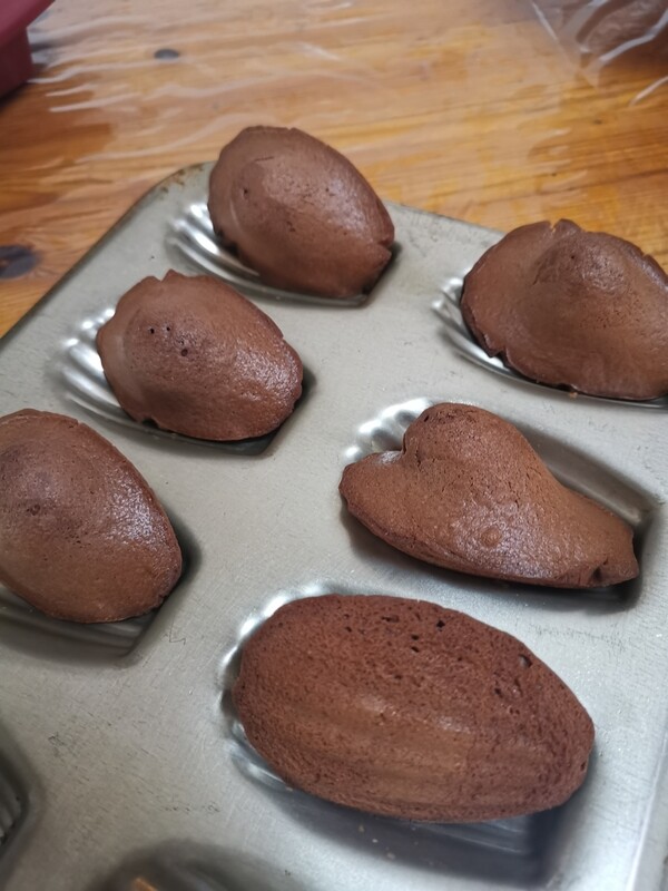 Chocolate madeleines