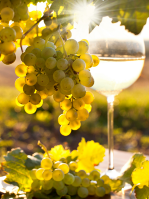 White Wine