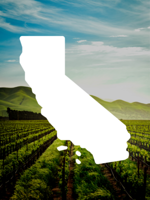 California Wine