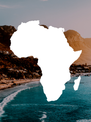 South African Wine