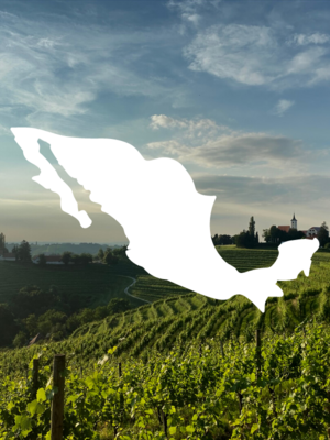 Mexico Wine