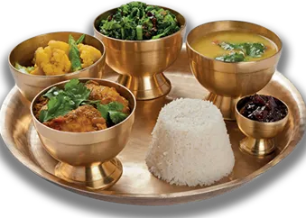 THALI DU LUNDI(Uniquement le Midi) (Rouleaux de légumes, Poulet Masala, cheese nan, riz basmati, dessert halwa suji.)