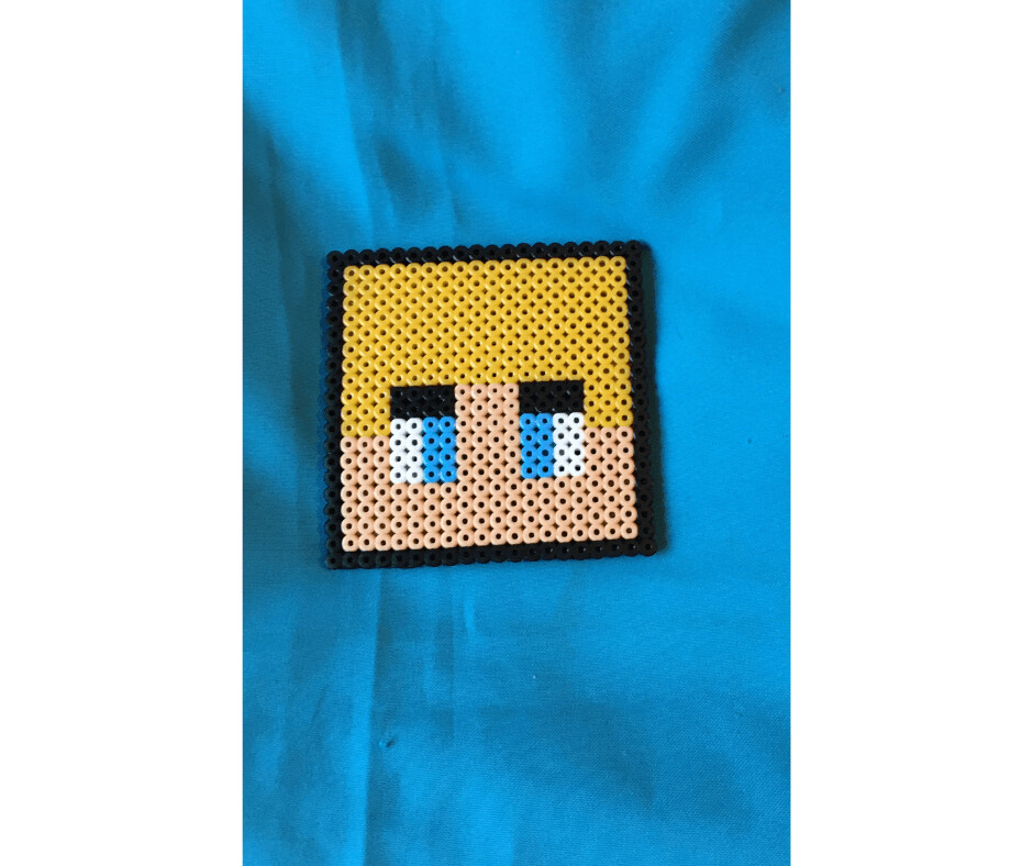 Coaster -  Minecraft, Tommy Innit