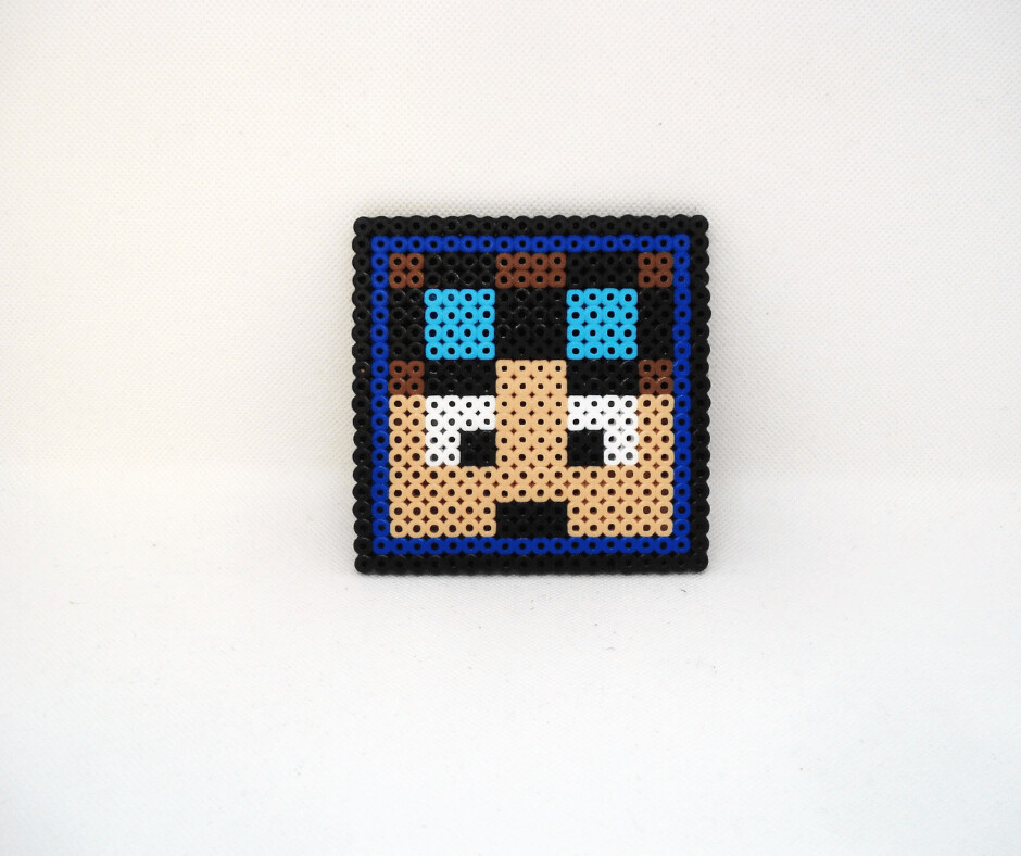 Coaster -  Minecraft, Dan TDM