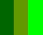 Schmuckstücke im Farbton: Grün