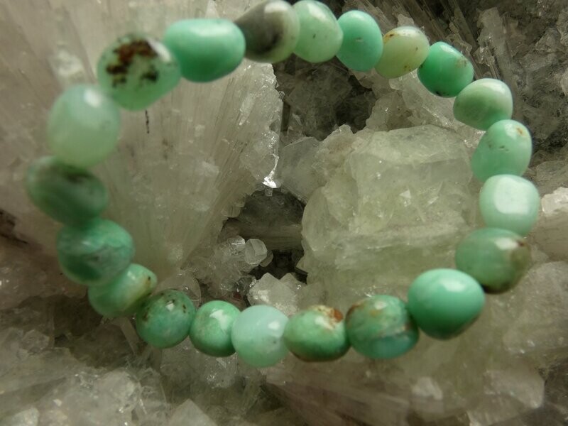 Armband Chrysopras, mintgrün, dehnbar Armband Chrysopras, mintgrün, dehnbar