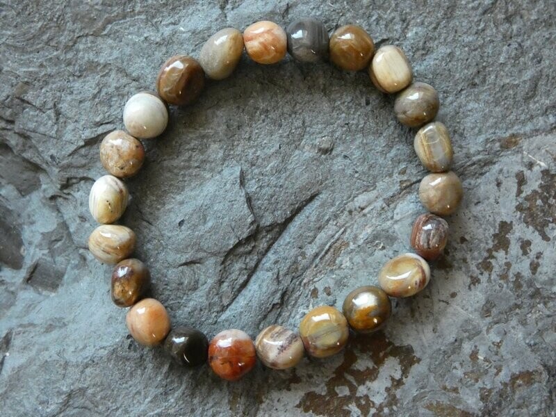 Armband versteinertes Holz, verschiedene Brauntöne, dehnbar Armband versteinertes Holz, verschiedene Brauntöne, dehnbar