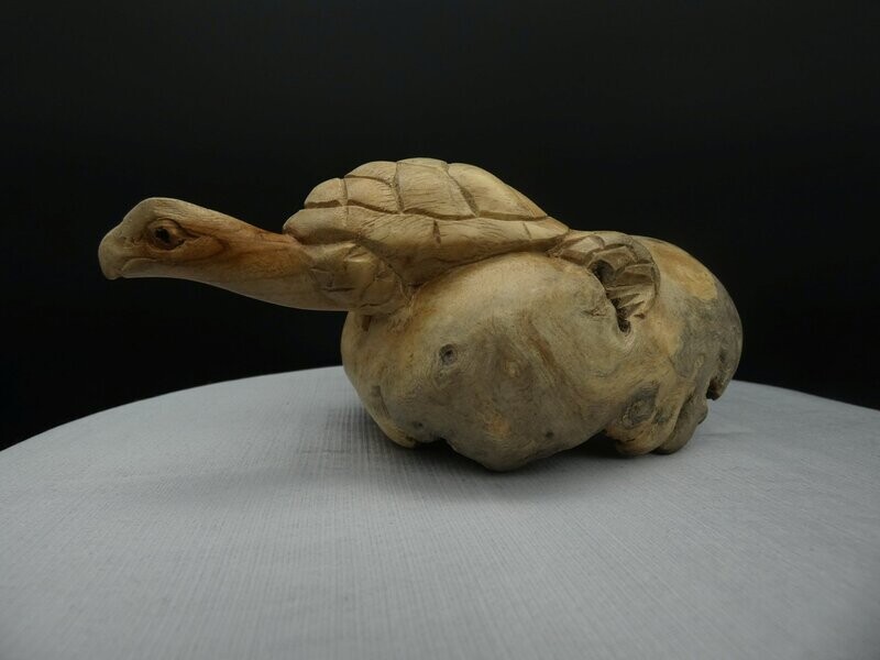 Schildkröte aus Parasitenholz Schildkröte aus Parasitenholz