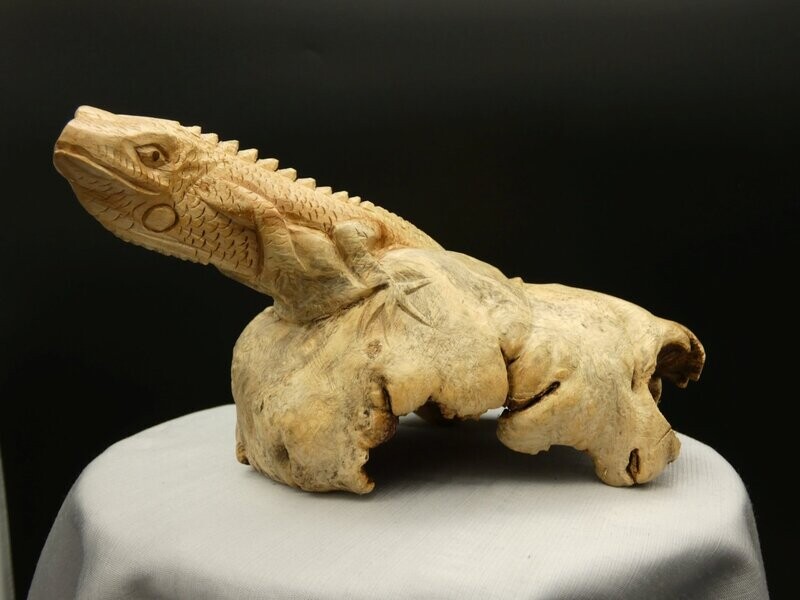 Leguan geschnitzt aus Parasitenholz Leguan geschnitzt aus Parasitenholz