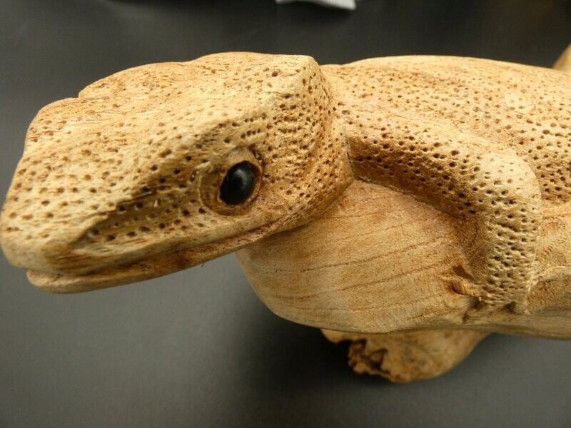 Leguan geschnitzt aus Parasitenholz Leguan geschnitzt aus Parasitenholz
