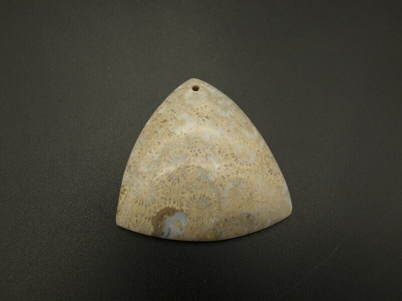 Fossile Koralle mit Loch, auch als Anhänger Fossile Koralle mit Loch, auch als Anhänger