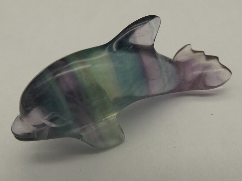 Fluorit Gravur, Delfin, Länge ca. 5,1cm Fluorit Gravur, Delfin, Länge ca. 5,1cm