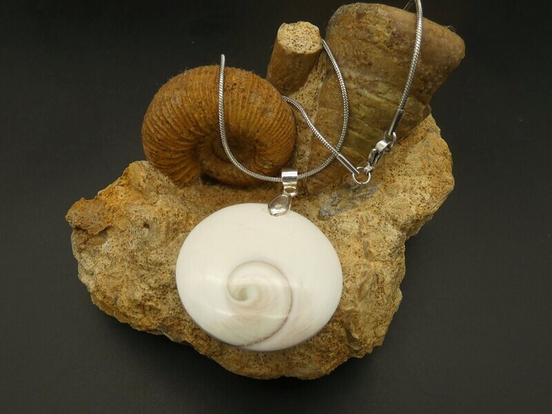 Anhänger Shiva´s Auge, Ø 3,6 cm, mit Edelstahlkette (auch Anhänger Shiva´s Auge, Ø 3,6 cm, mit Edelstahlkette (auch "solo" bestellbar)