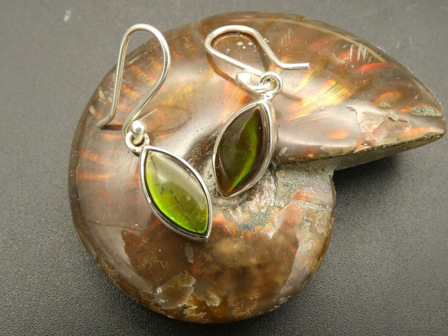 Ohrhänger Ammolit (Ammolite) in Silberfassung 925