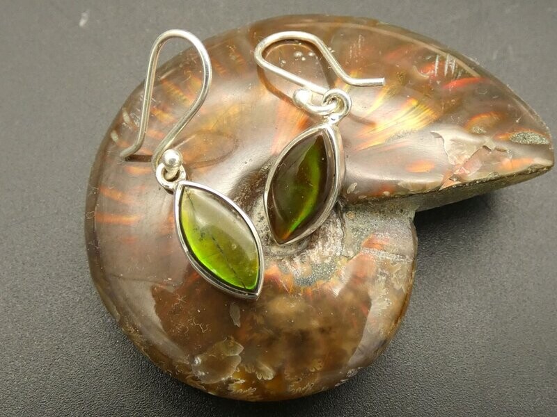 Ohrhänger Ammolit (Ammolite) in Silberfassung 925 Ohrhänger Ammolit (Ammolite) in Silberfassung 925