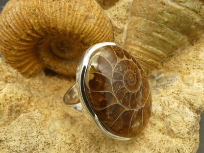Ring Ammonit, oval, Silberfassung 925, Ringgröße: 54, 55, 56, 57