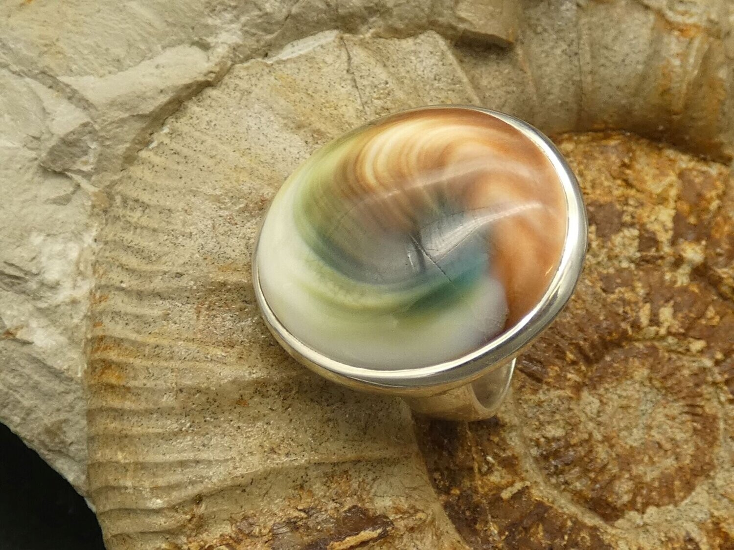 Ring Shiva´s Auge, Operculum, rund, Silber 925, Größe 57